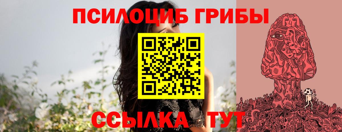 Галлюциногенные грибы Psilocybine cubensis  Вход с VPN  Благовещенск 